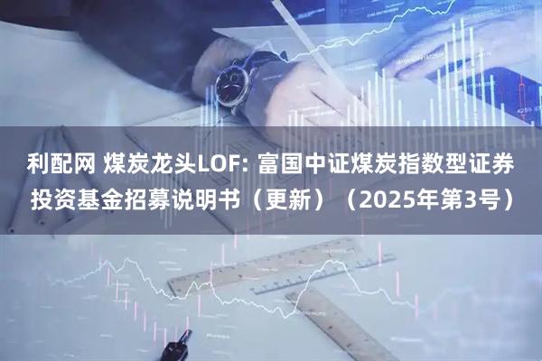 利配网 煤炭龙头LOF: 富国中证煤炭指数型证券投资基金招募说明书(更新)(2025年第3号)