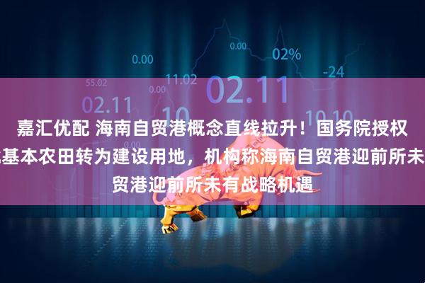 嘉汇优配 海南自贸港概念直线拉升！国务院授权海南省审批基本农田转为建设用地，机构称海南自贸港迎前所未有战略机遇