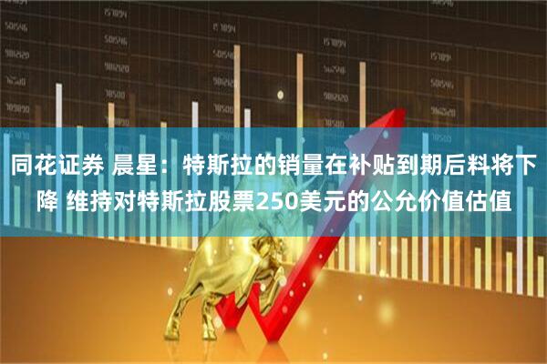 同花证券 晨星：特斯拉的销量在补贴到期后料将下降 维持对特斯拉股票250美元的公允价值估值
