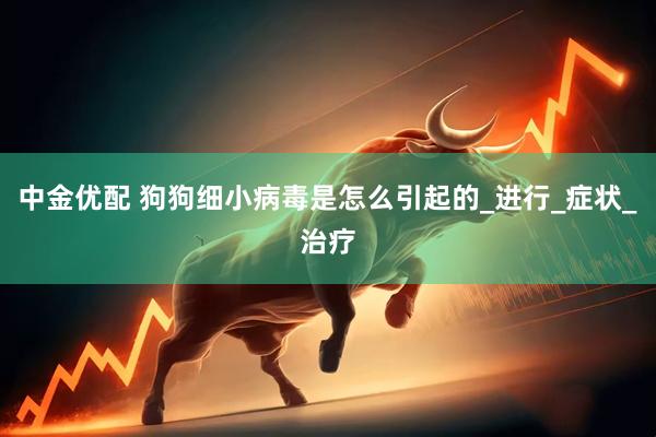 中金优配 狗狗细小病毒是怎么引起的_进行_症状_治疗