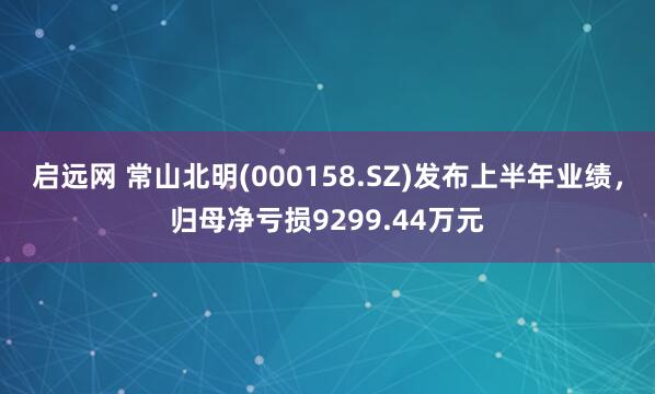 启远网 常山北明(000158.SZ)发布上半年业绩，归母净亏损9299.44万元