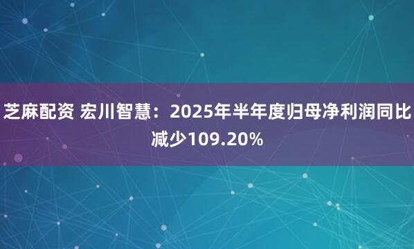 芝麻配资 宏川智慧：2025年半年度归母净利润同比减少109.20%